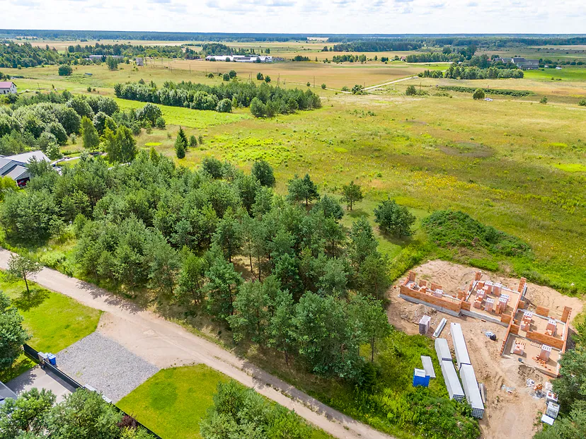 Namų statybos pušyne prie laukų