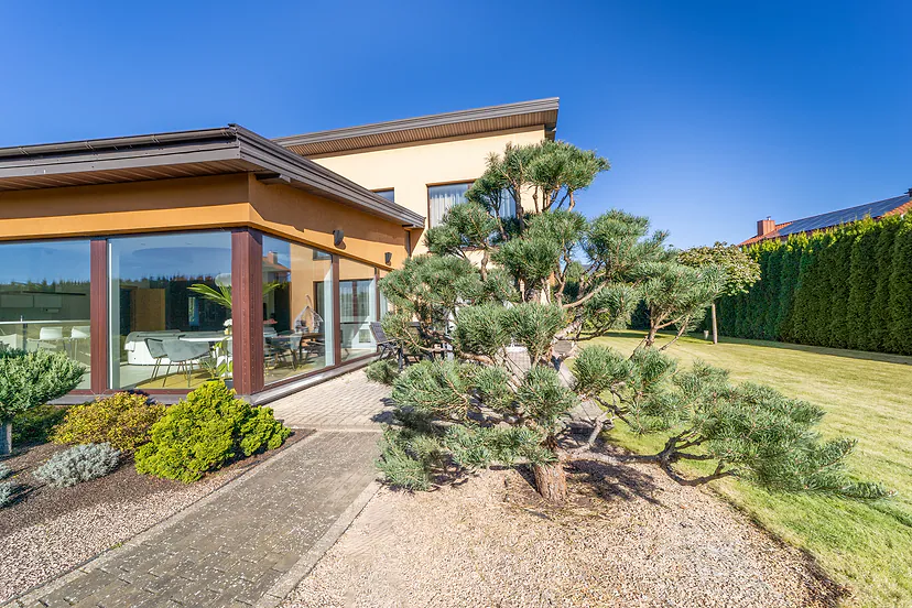 Garden with a shaped pine next to the glass wall