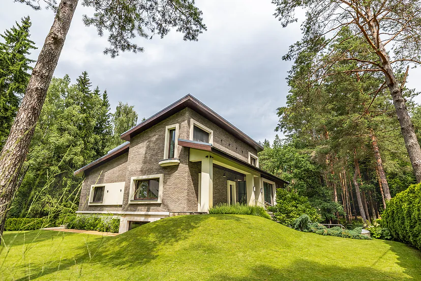 The house among tall pines, a lawn in front