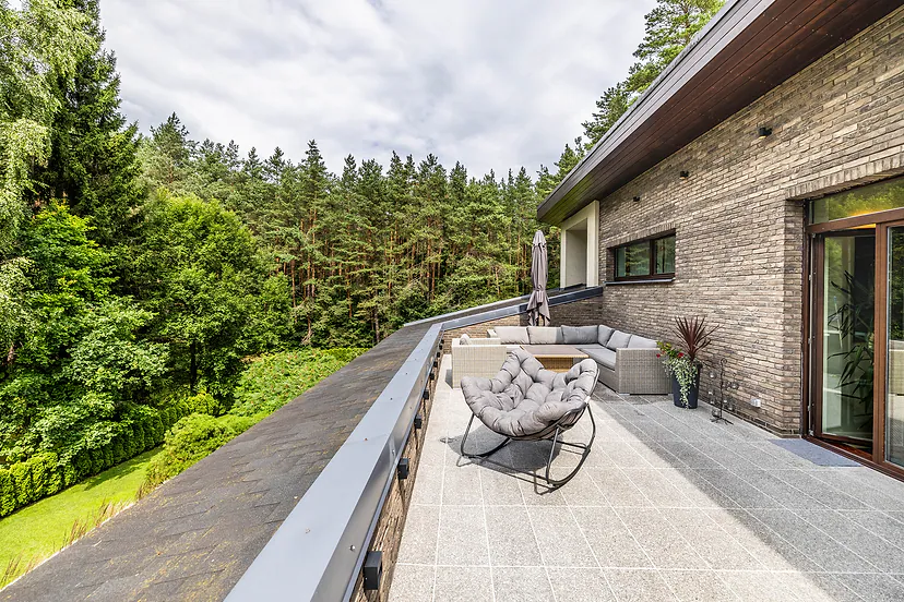 Terrace with a view of the forest