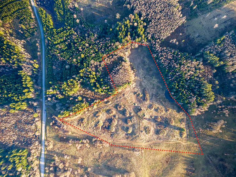 Forest plot boundaries marked on an aerial photo