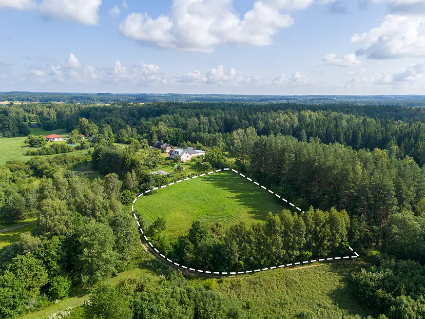 Land plot surrounded by forest, boundaries marked with a dashed line