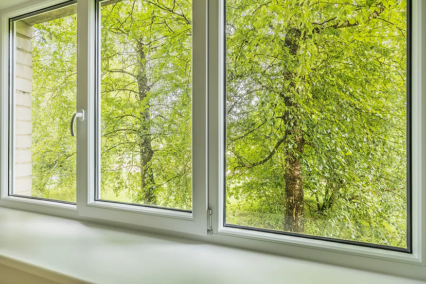 Large window with a view of green birch trees
