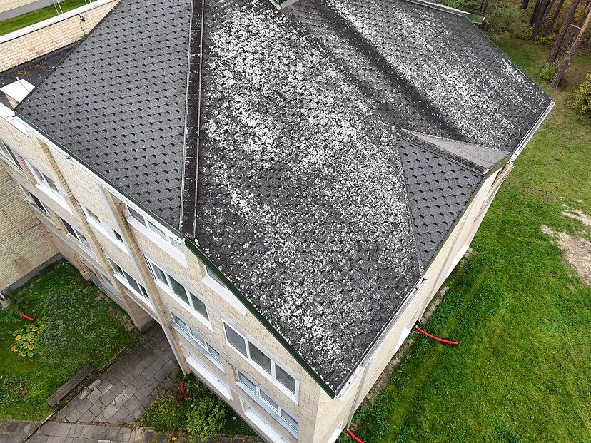 Mossy roofing